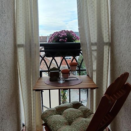 Apartman Element Крушевац Экстерьер фото