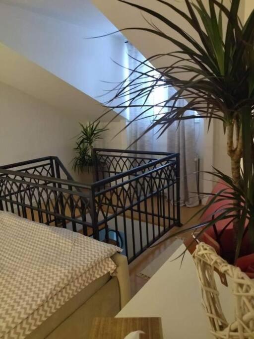 Apartman Element Крушевац Экстерьер фото